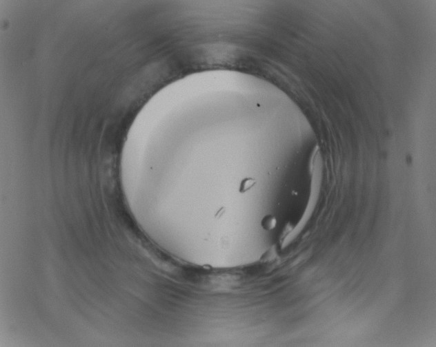 X0000076220462200611012108