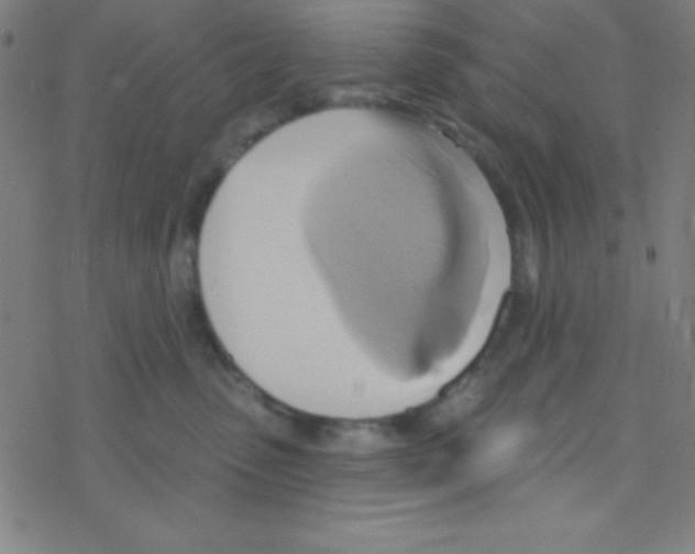 X0000076220475200611012108