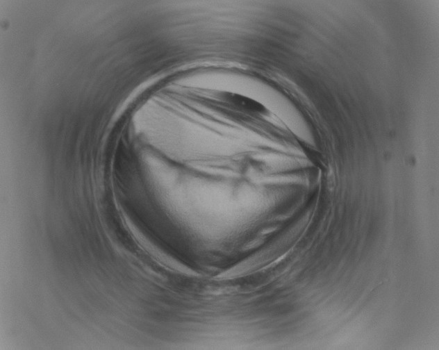 X0000076220484200611012107