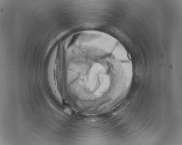 X0000076220492200611012107
