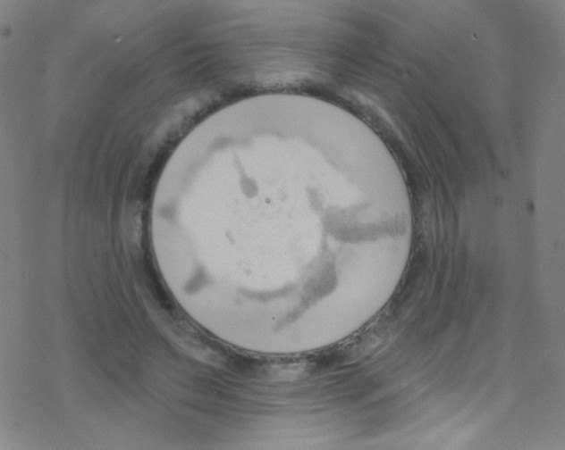 X0000076220495200611012107