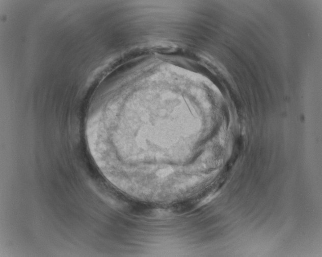 X0000076220496200611012107