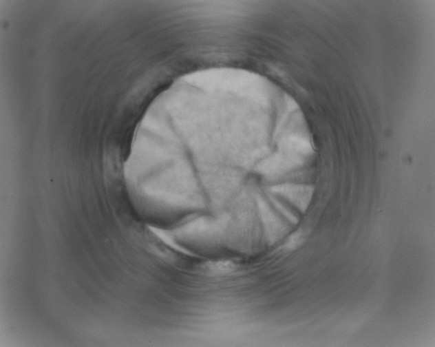 X0000076220528200611012107