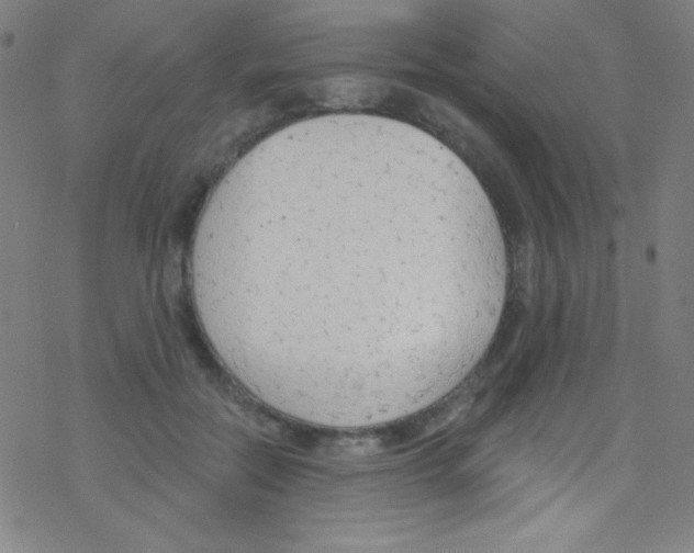 X0000076220554200611012106