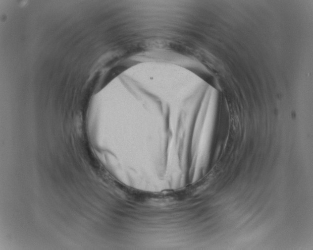 X0000076220556200611012106