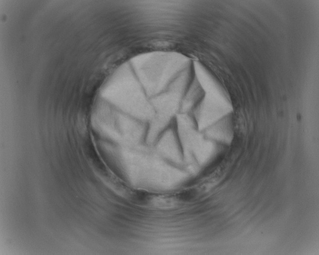 X0000076220568200611012106