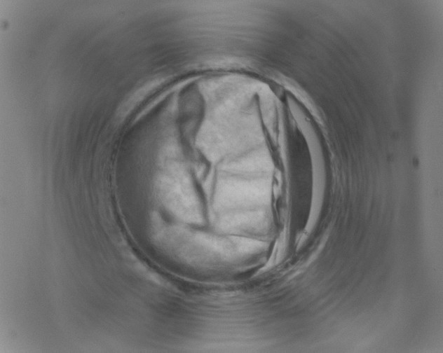 X0000076220577200611012106