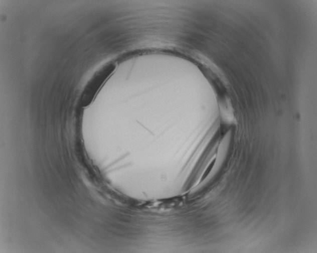 X0000076220580200611012106