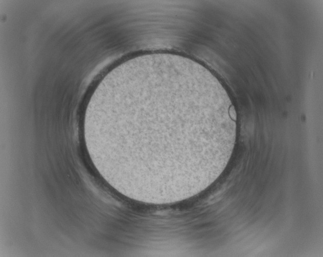 X0000076220584200611012106