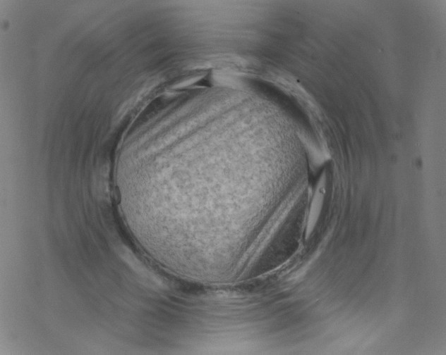 X0000076220585200611012106