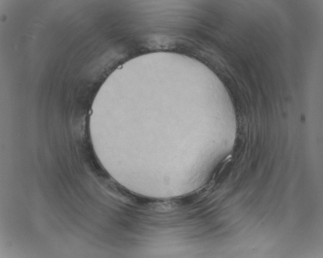 X0000076220652200611012105