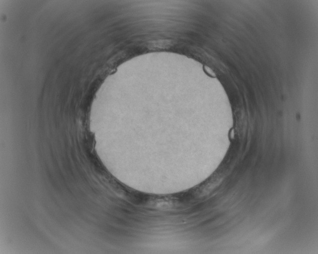 X0000076220655200611012105