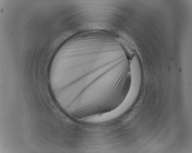 X0000076220673200611012104