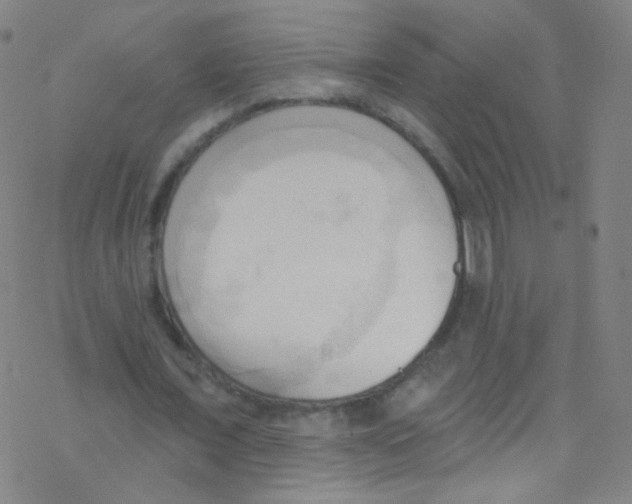 X0000076220675200611012104