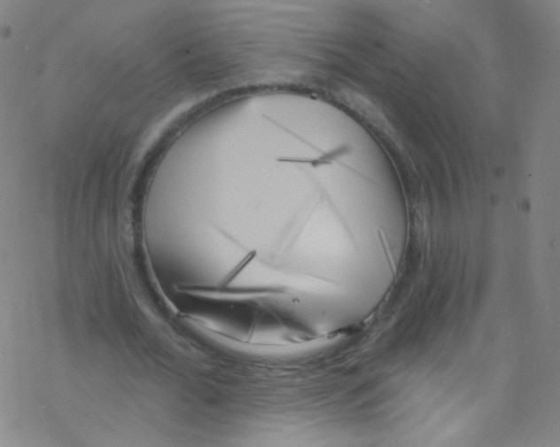 X0000076220676200611012104