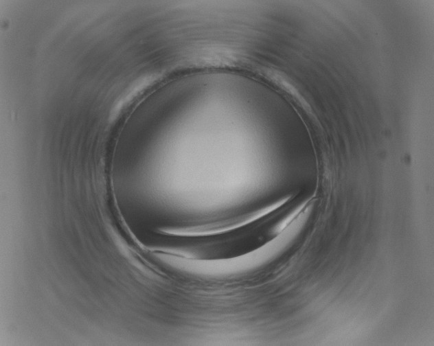 X0000076220677200611012104