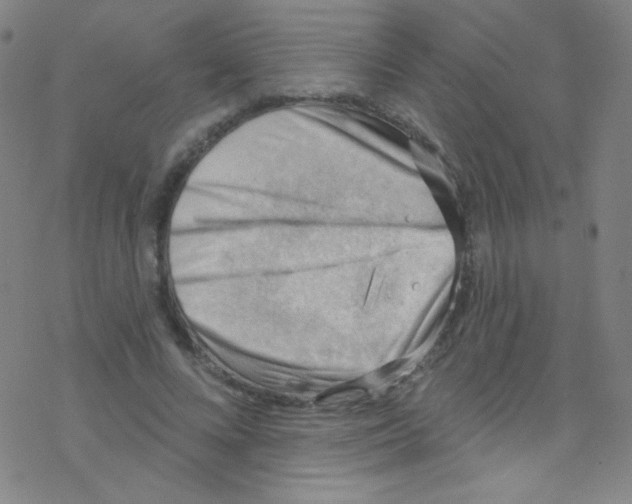 X0000076220688200611012104