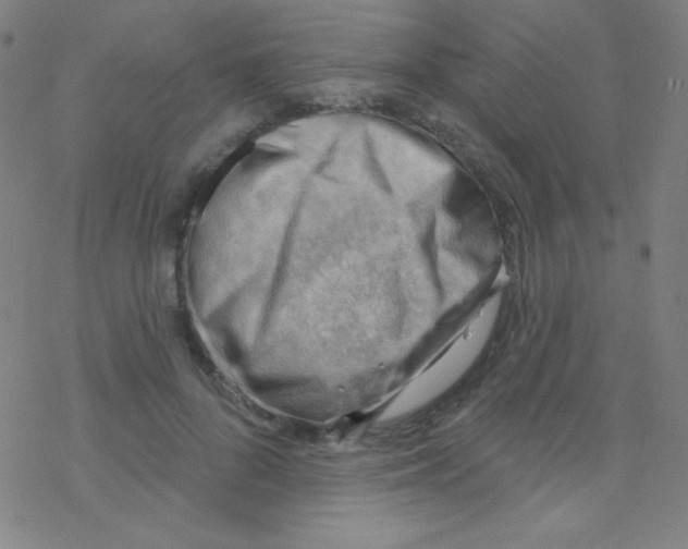 X0000076220696200611012104