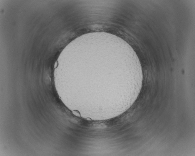 X0000076220702200611012104