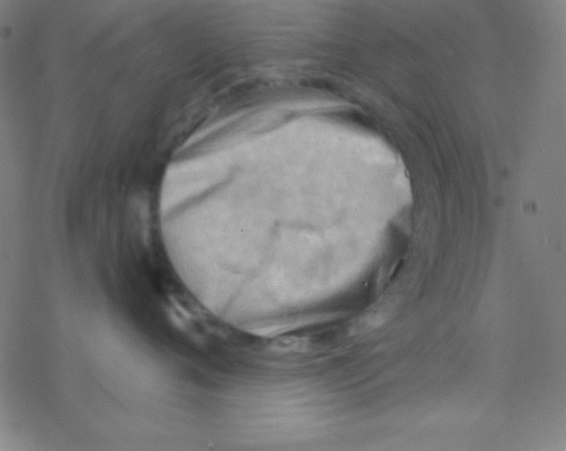 X0000076220720200611012103