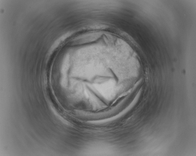 X0000076220726200611012103