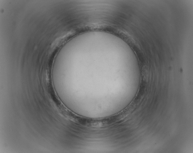 X0000076220740200611012103