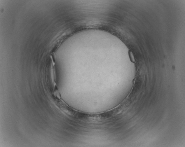X0000076220744200611012103