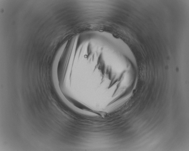 X0000076220748200611012103