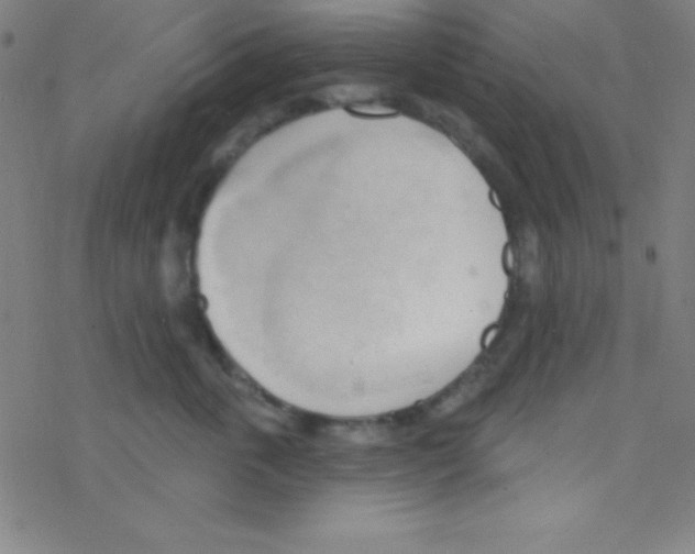 X0000076220763200611012103