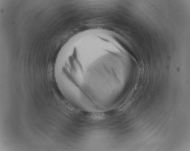 X0000076220767200611012103