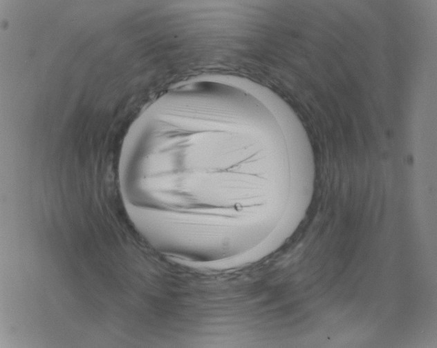 X0000076220818200611012101