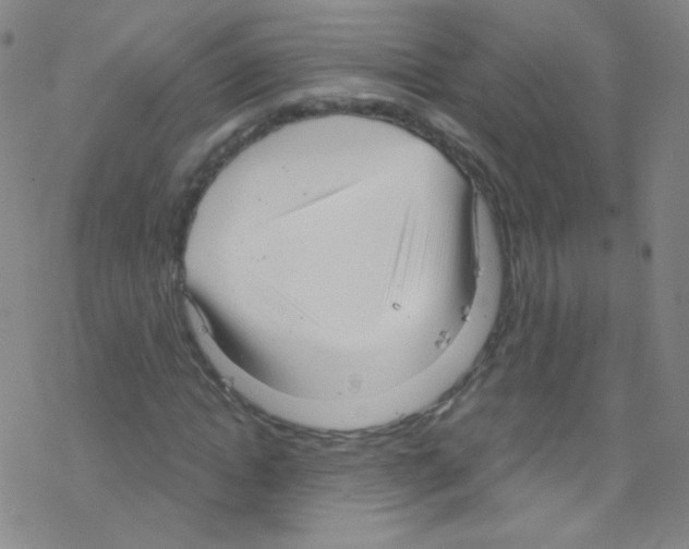 X0000076220822200611012101