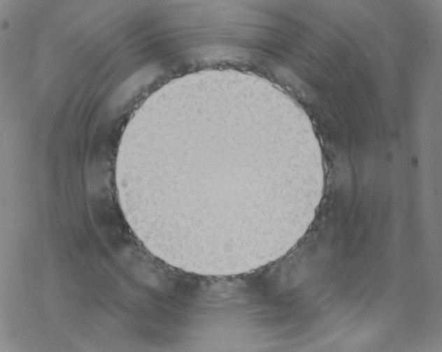 X0000076220824200611012101