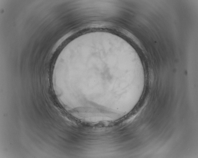 X0000076220829200611012101