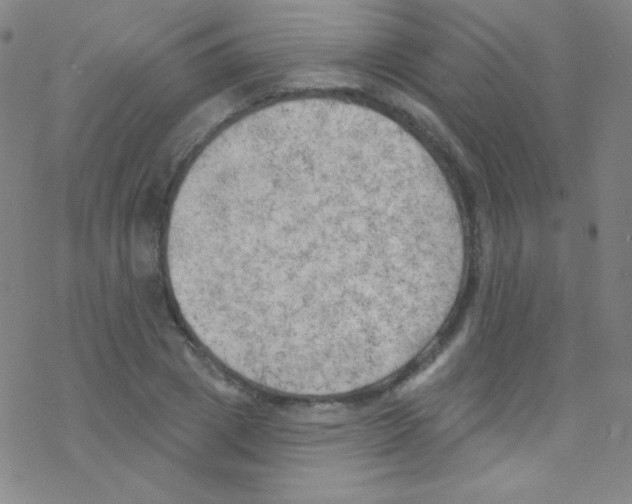 X0000076220833200611012101