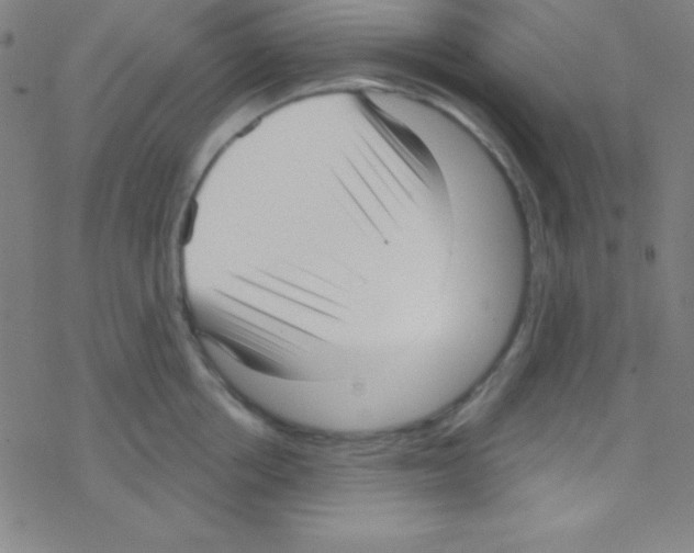 X0000076220858200611012102
