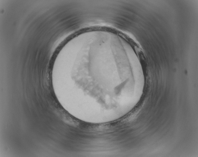 X0000076220879200611012101