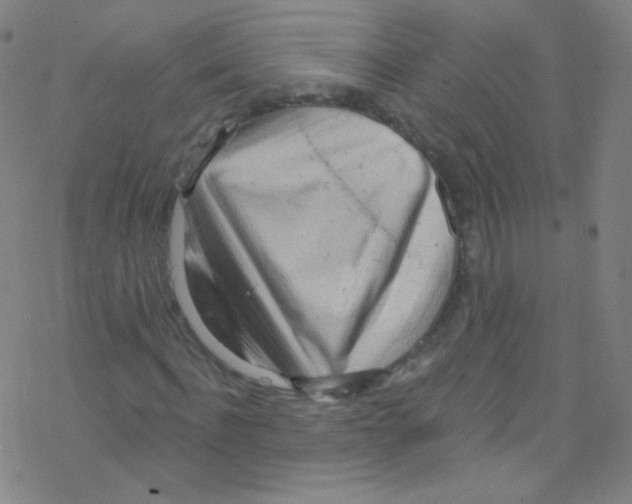 X0000076220916200611012059