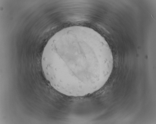 X0000076220917200611012059