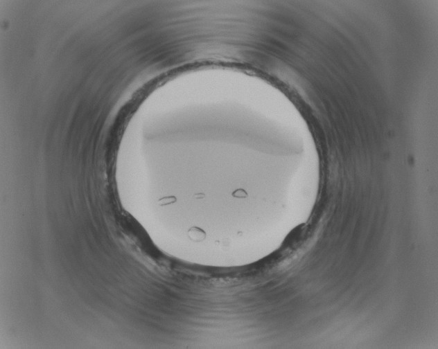 X0000076220923200611012100