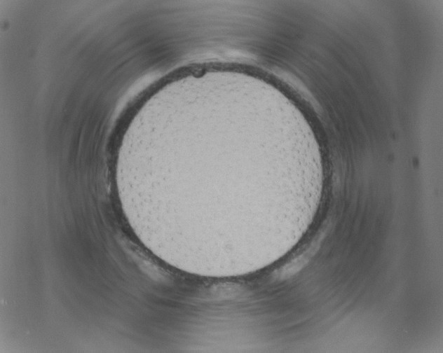 X0000076220974200611012059