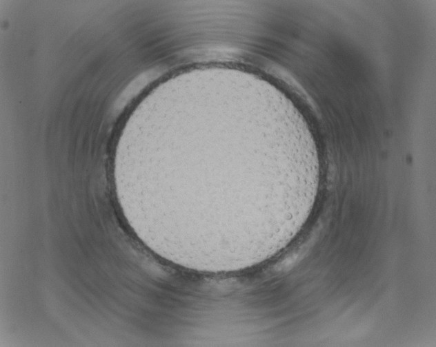 X0000076220978200611012059