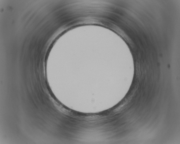 X0000076220988200611012059
