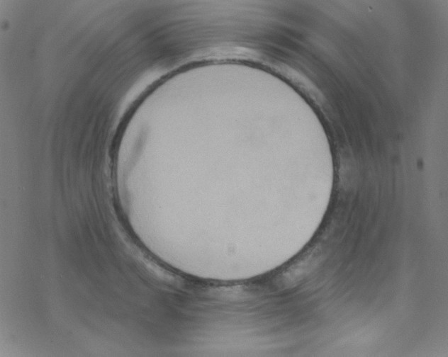 X0000076220990200611012059