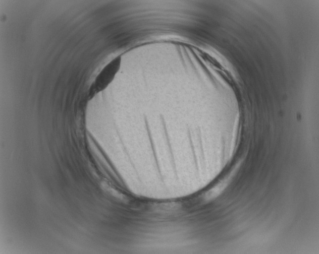 X0000076221001200611012059