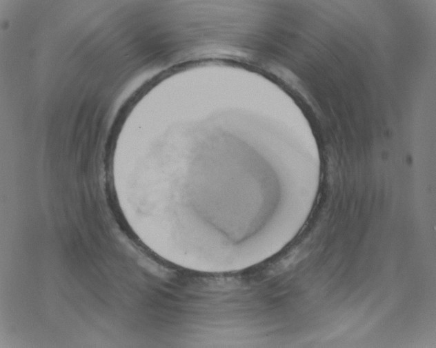 X0000076221024200611012058