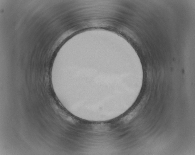 X0000076221025200611012058