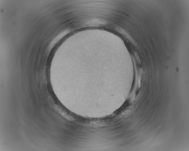 X0000076221026200611012058