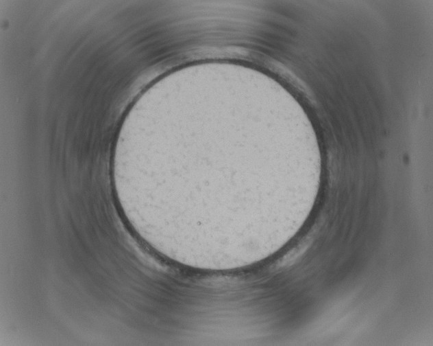 X0000076221033200611012058