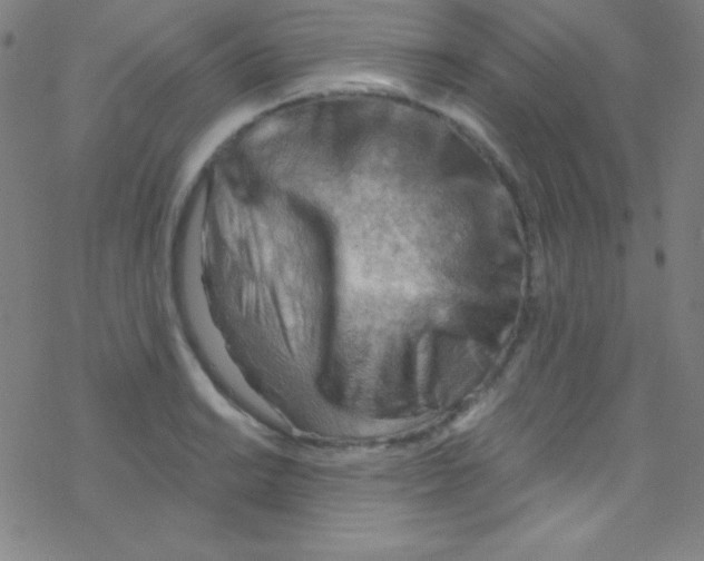 X0000076221038200611012058